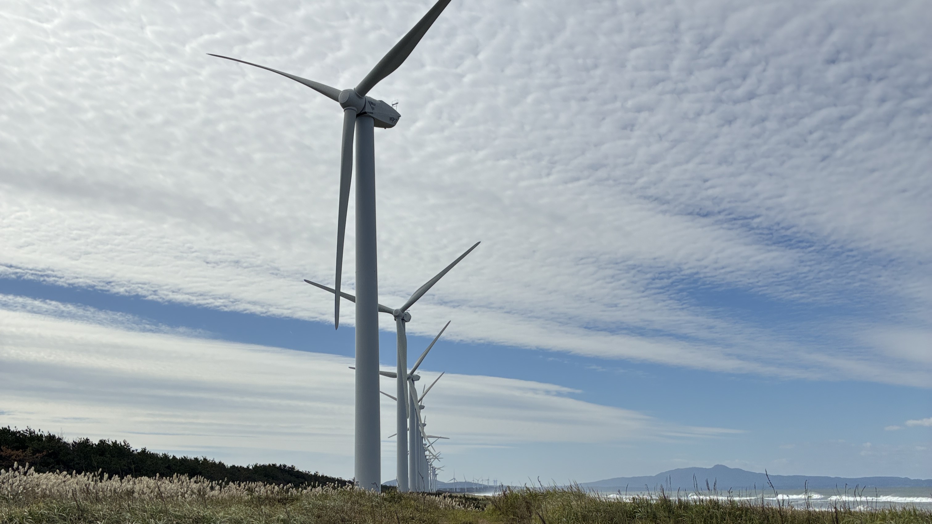 定年退職して以来のんびりしていましたが、お仕事再開しました。　I’ve been taking it easy since I retired, but I’ve started working again.